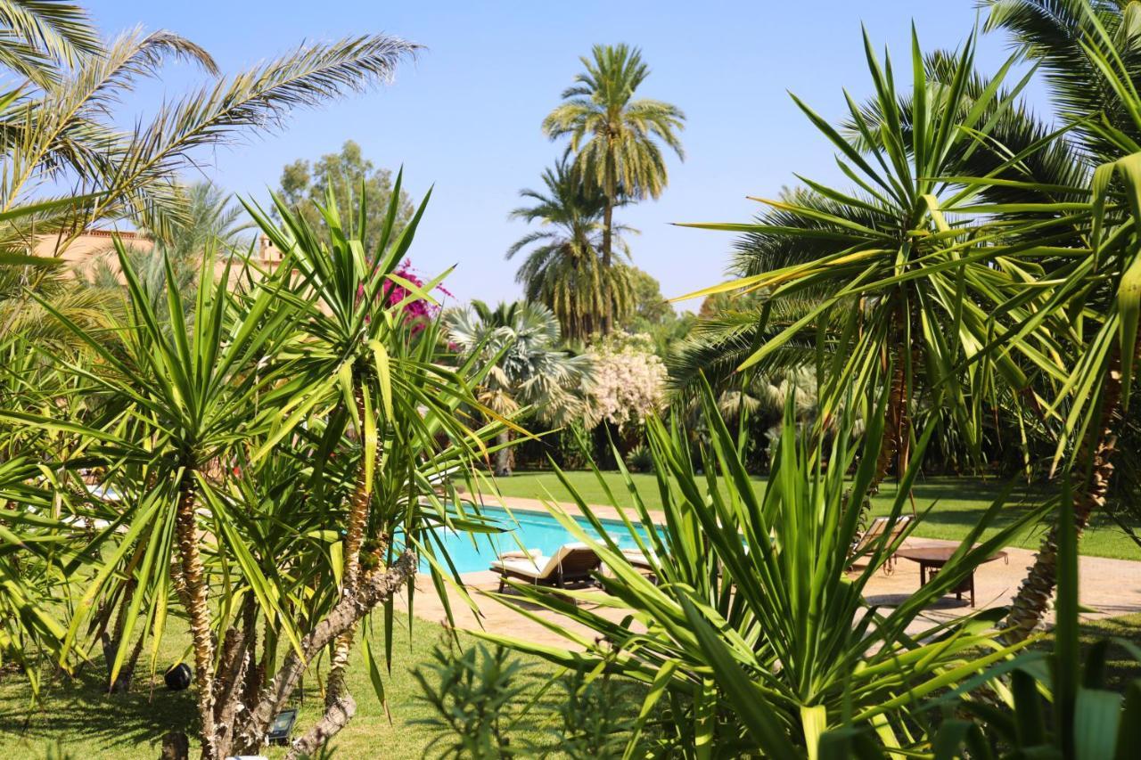 Villa Le Perroquet Bleu Marrakesh Eksteriør bilde