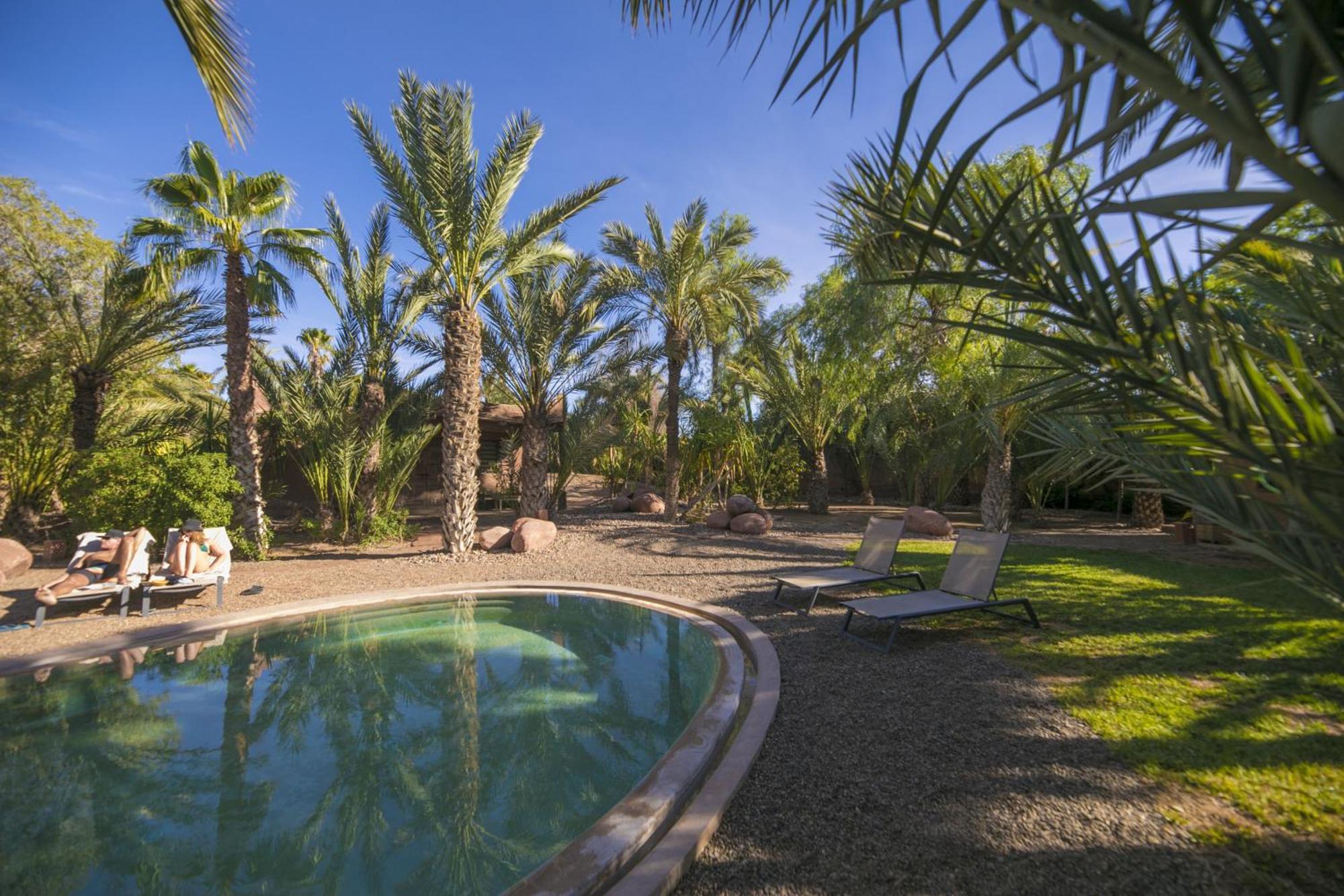 Villa Le Perroquet Bleu Marrakesh Eksteriør bilde